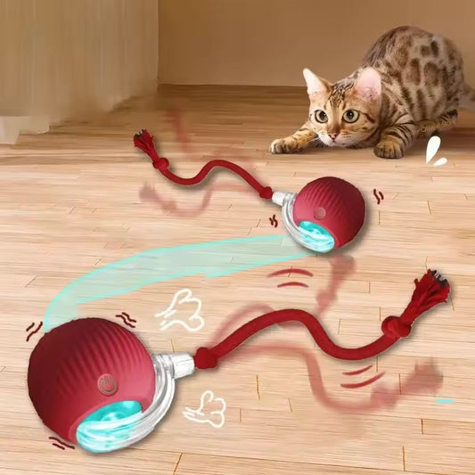 Smart Rolling Pet Ball