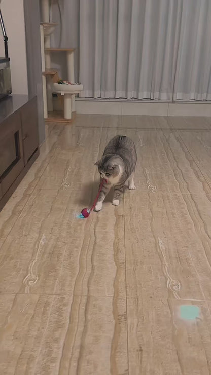 Smart Rolling Pet Ball